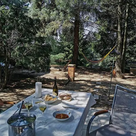 펜션 Milbor Fruska Gora *