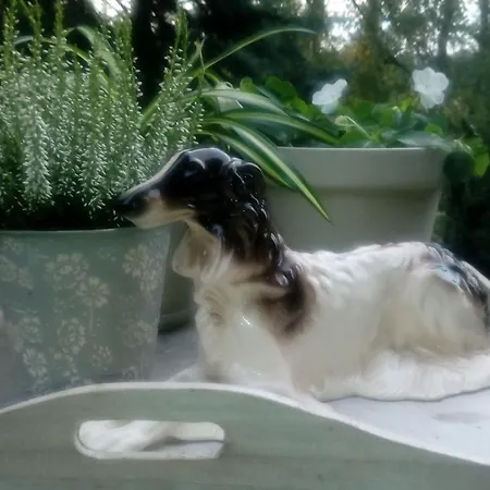 Milbor Fruska Gora * 노비사드